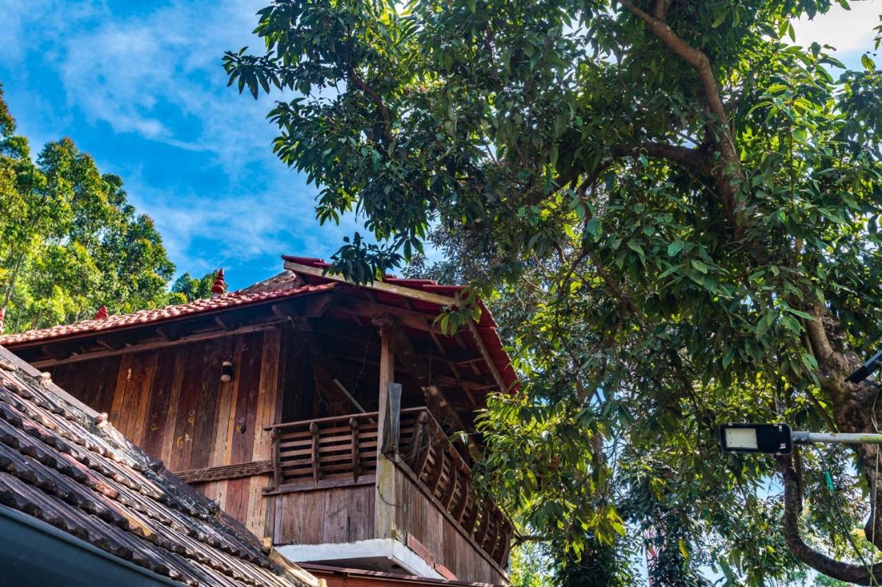 Castillo De Woods , The Private Luxury Villa , 8 Bhk, Vattavada Kottakamboor Екстериор снимка